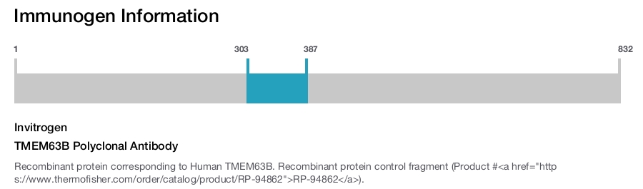 TMEM63B Polyclonal Antibody