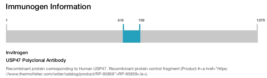 USP47 Polyclonal Antibody