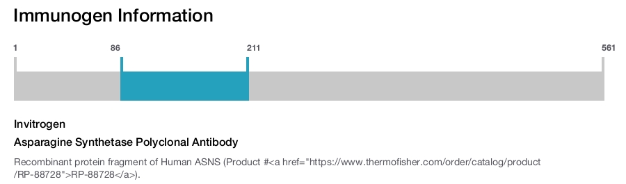 Asparagine Synthetase Polyclonal Antibody