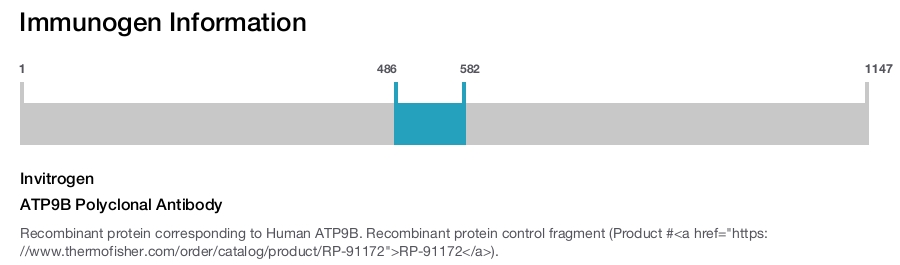 ATP9B Polyclonal Antibody