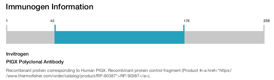 PIGX Polyclonal Antibody