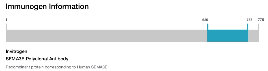 SEMA3E Polyclonal Antibody