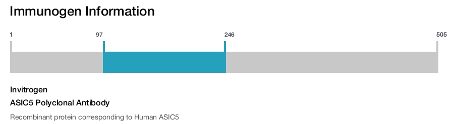 ASIC5 Polyclonal Antibody