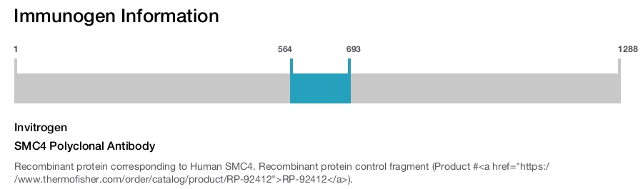SMC4 Polyclonal Antibody