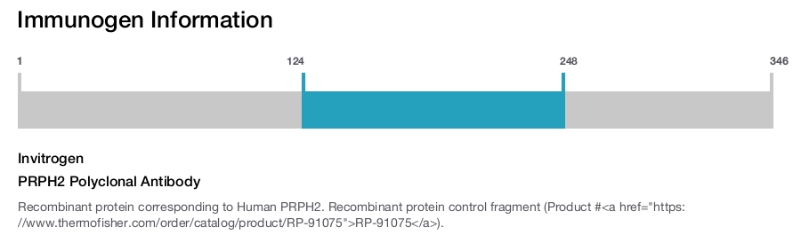 PRPH2 Polyclonal Antibody