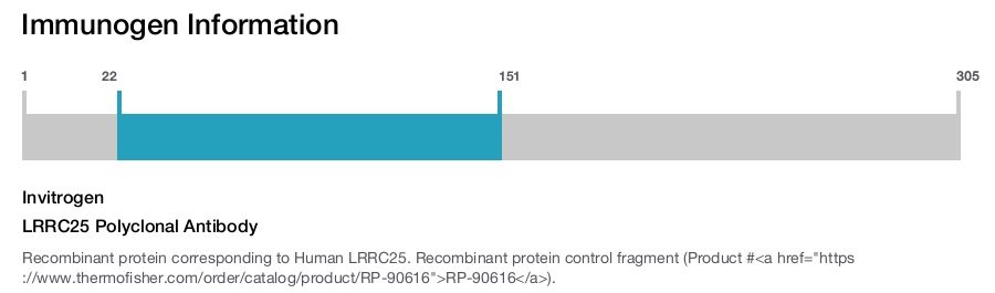 LRRC25 Polyclonal Antibody