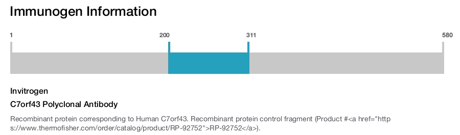 C7orf43 Polyclonal Antibody