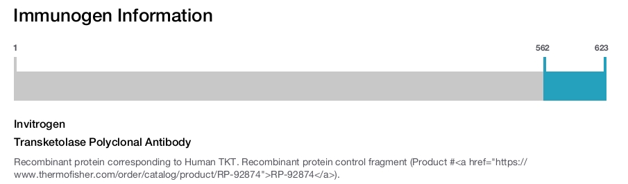 Transketolase Polyclonal Antibody