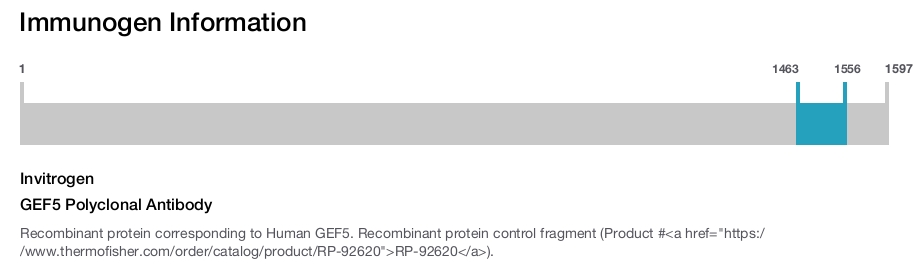 GEF5 Polyclonal Antibody