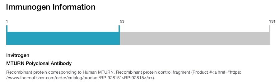 MTURN Polyclonal Antibody