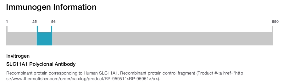 SLC11A1 Polyclonal Antibody