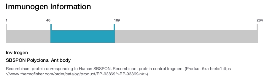 SBSPON Polyclonal Antibody