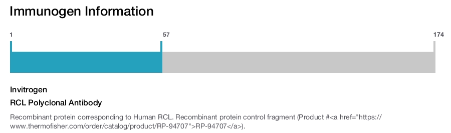 RCL Polyclonal Antibody