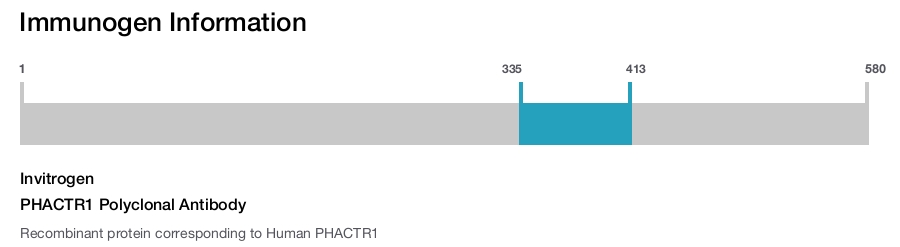 PHACTR1 Polyclonal Antibody