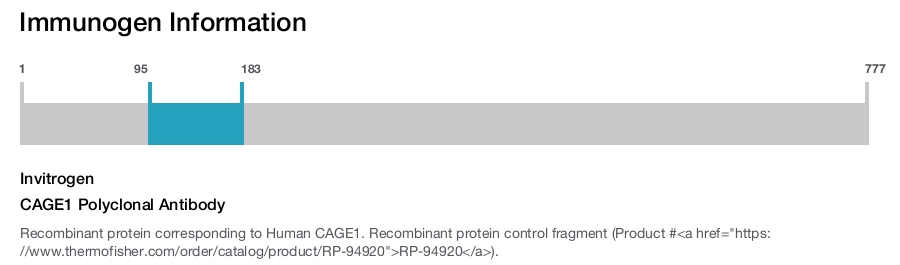 CAGE1 Polyclonal Antibody