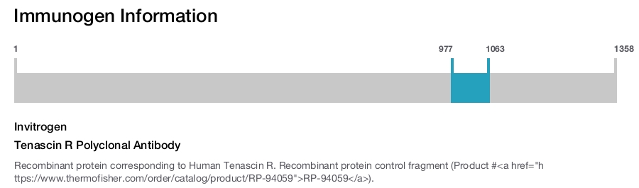 Tenascin R Polyclonal Antibody