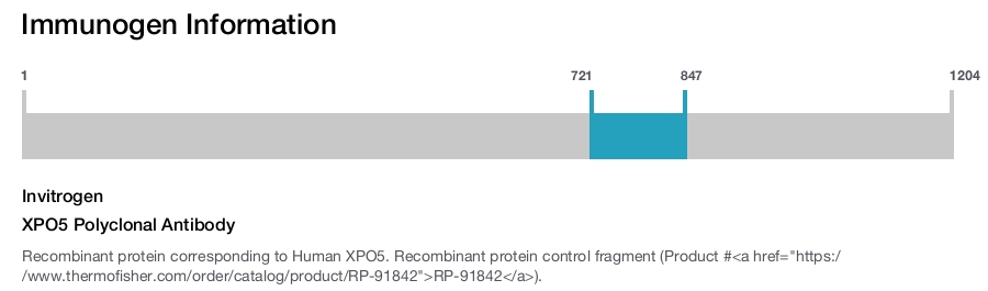 XPO5 Polyclonal Antibody