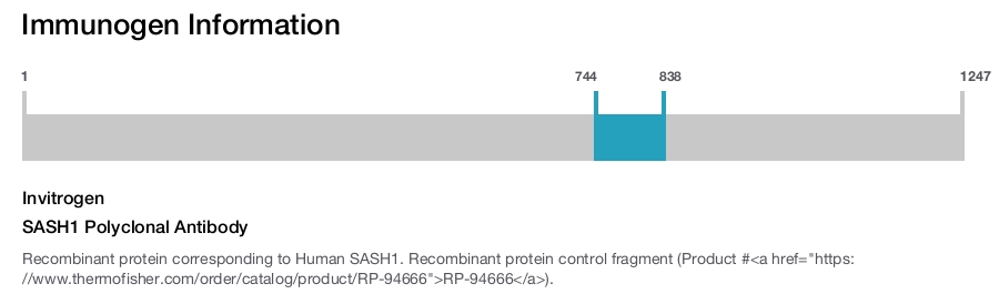 SASH1 Polyclonal Antibody