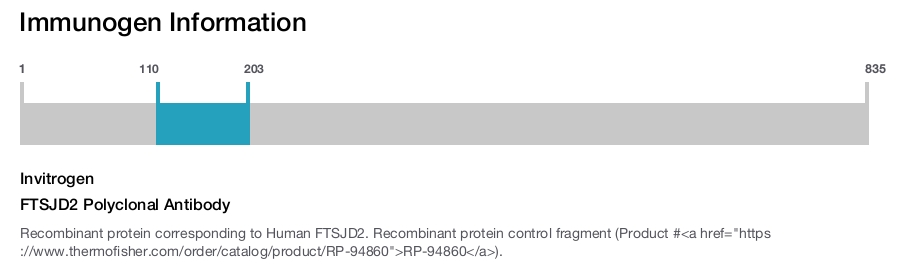 FTSJD2 Polyclonal Antibody