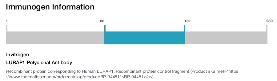 LURAP1 Polyclonal Antibody