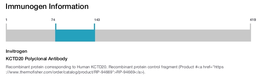 KCTD20 Polyclonal Antibody