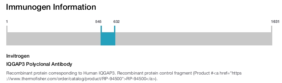 IQGAP3 Polyclonal Antibody