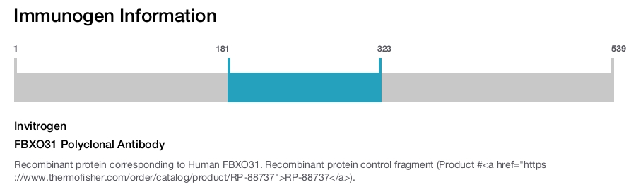 FBXO31 Polyclonal Antibody