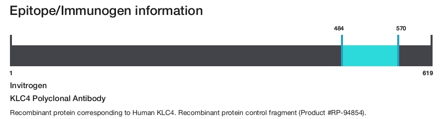KLC4 Polyclonal Antibody