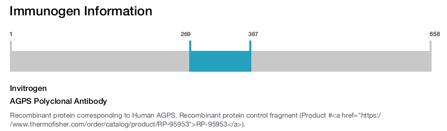 AGPS Polyclonal Antibody
