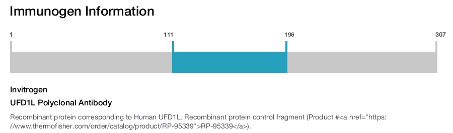 UFD1L Polyclonal Antibody