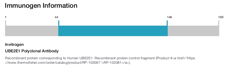 UBE2E1 Polyclonal Antibody