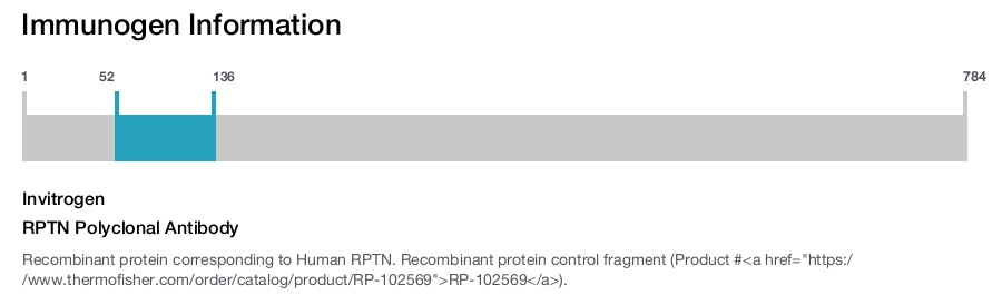 RPTN Polyclonal Antibody
