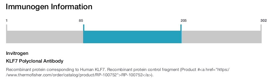 KLF7 Polyclonal Antibody
