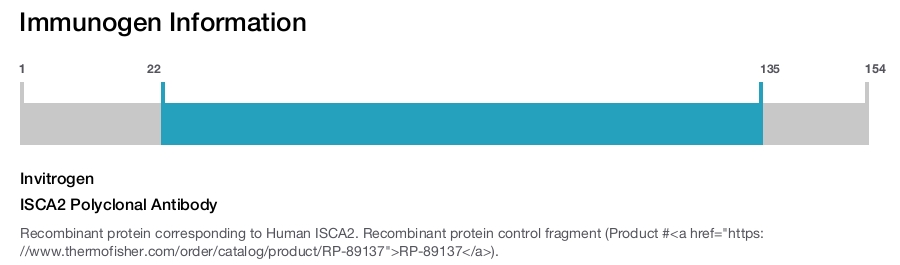 ISCA2 Polyclonal Antibody