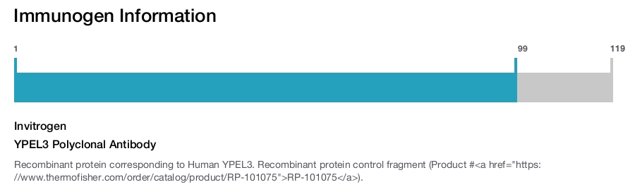 YPEL3 Polyclonal Antibody