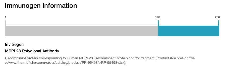 MRPL28 Polyclonal Antibody
