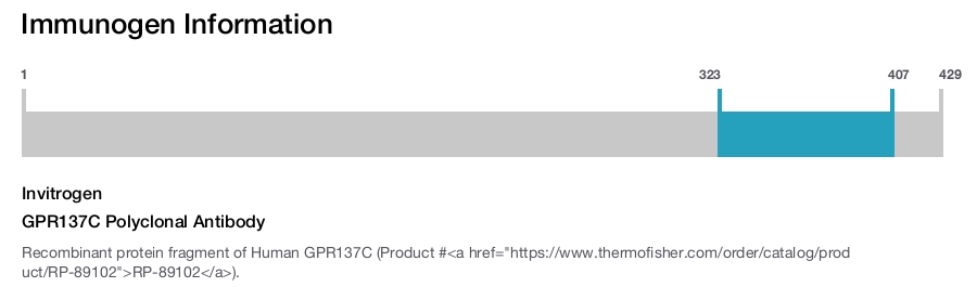 GPR137C Polyclonal Antibody