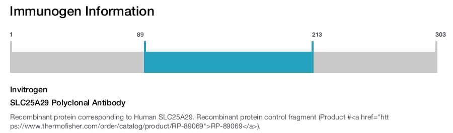 SLC25A29 Polyclonal Antibody