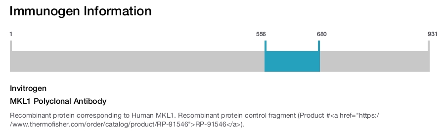 MKL1 Polyclonal Antibody