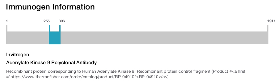 Adenylate Kinase 9 Polyclonal Antibody