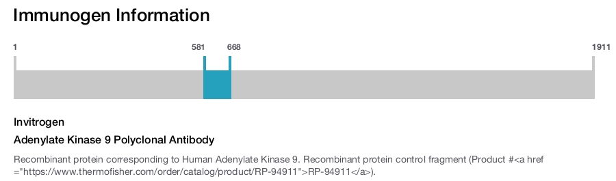 Adenylate Kinase 9 Polyclonal Antibody