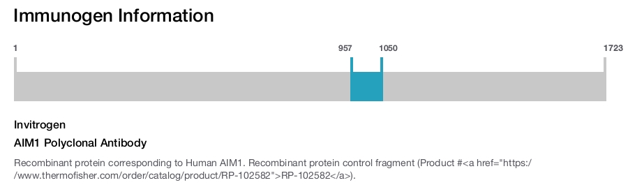 AIM1 Polyclonal Antibody