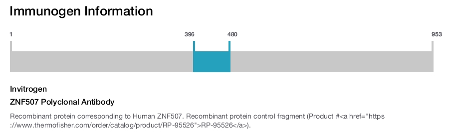ZNF507 Polyclonal Antibody
