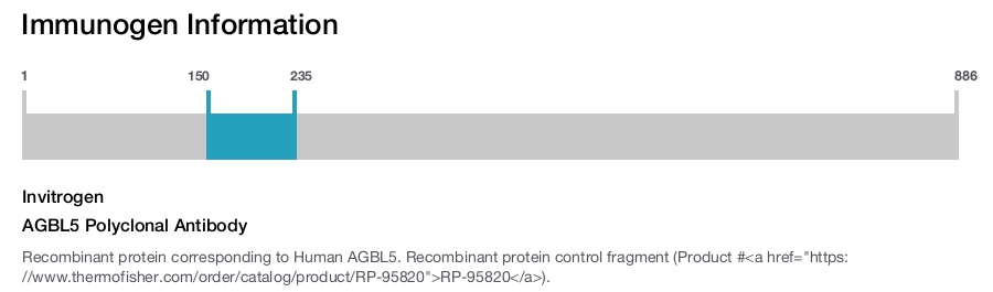 AGBL5 Polyclonal Antibody