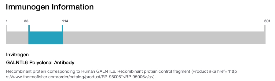 GALNTL6 Polyclonal Antibody
