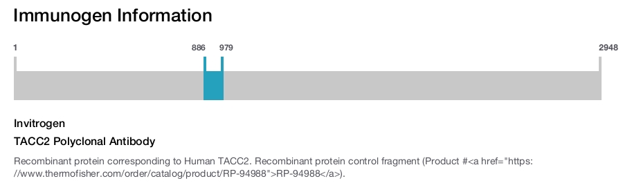 TACC2 Polyclonal Antibody