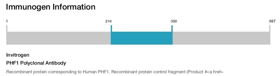 PHF1 Polyclonal Antibody