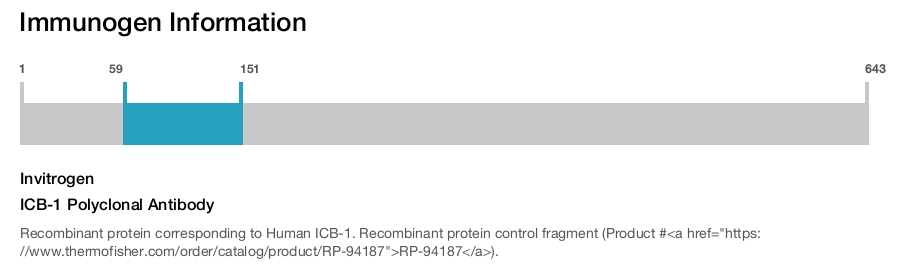 ICB-1 Polyclonal Antibody