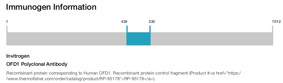 OFD1 Polyclonal Antibody