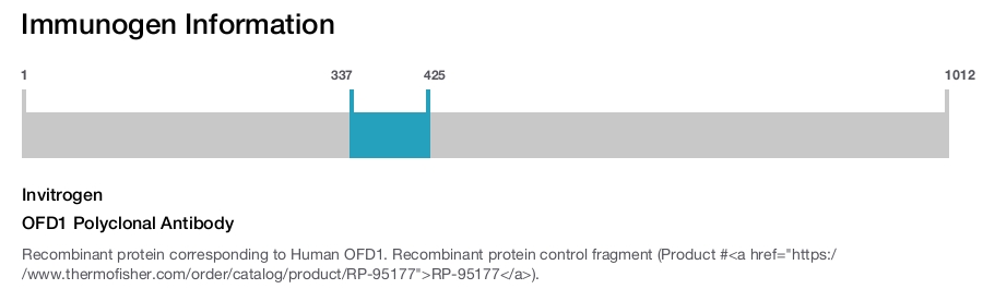 OFD1 Polyclonal Antibody